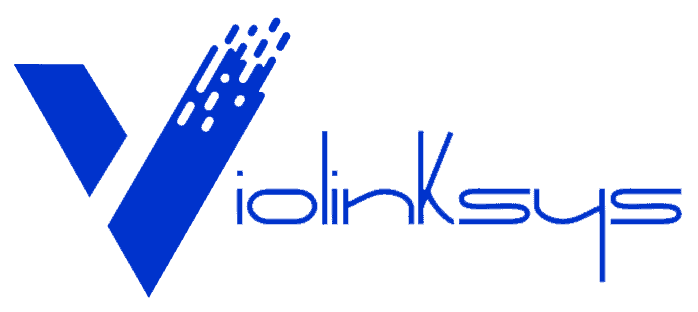 Violinksys ERP